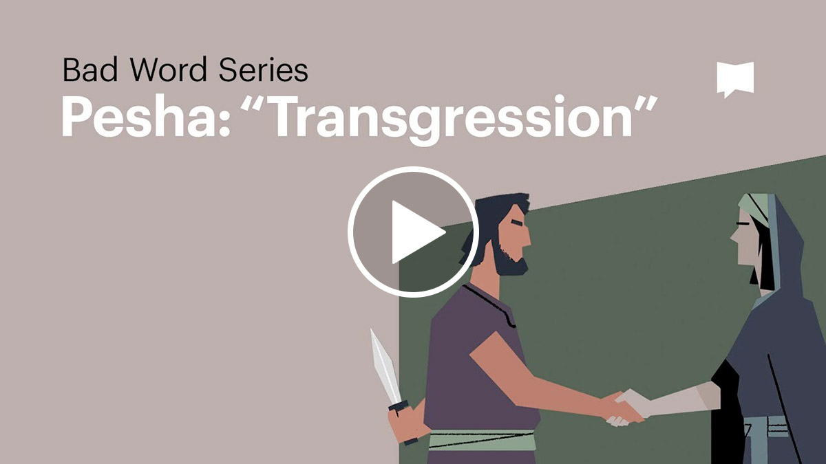 Watch: Transgression
